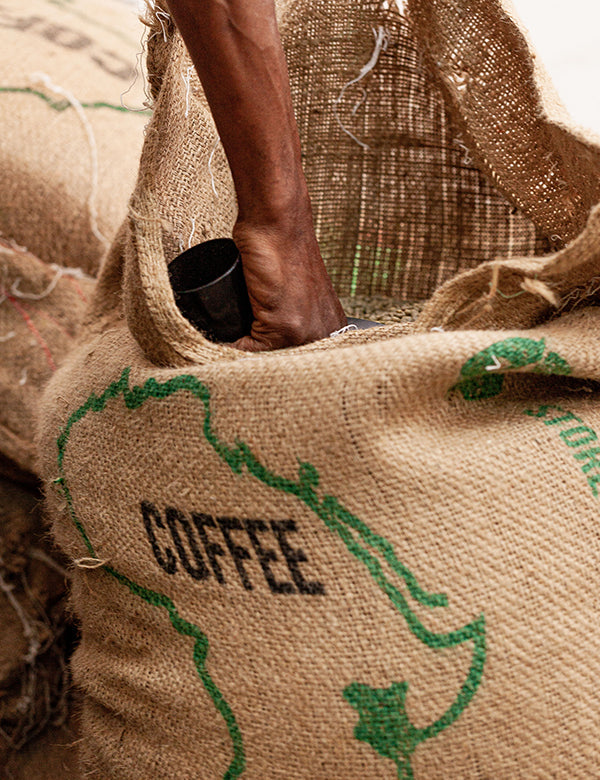 A Guide to Kenyan Coffee